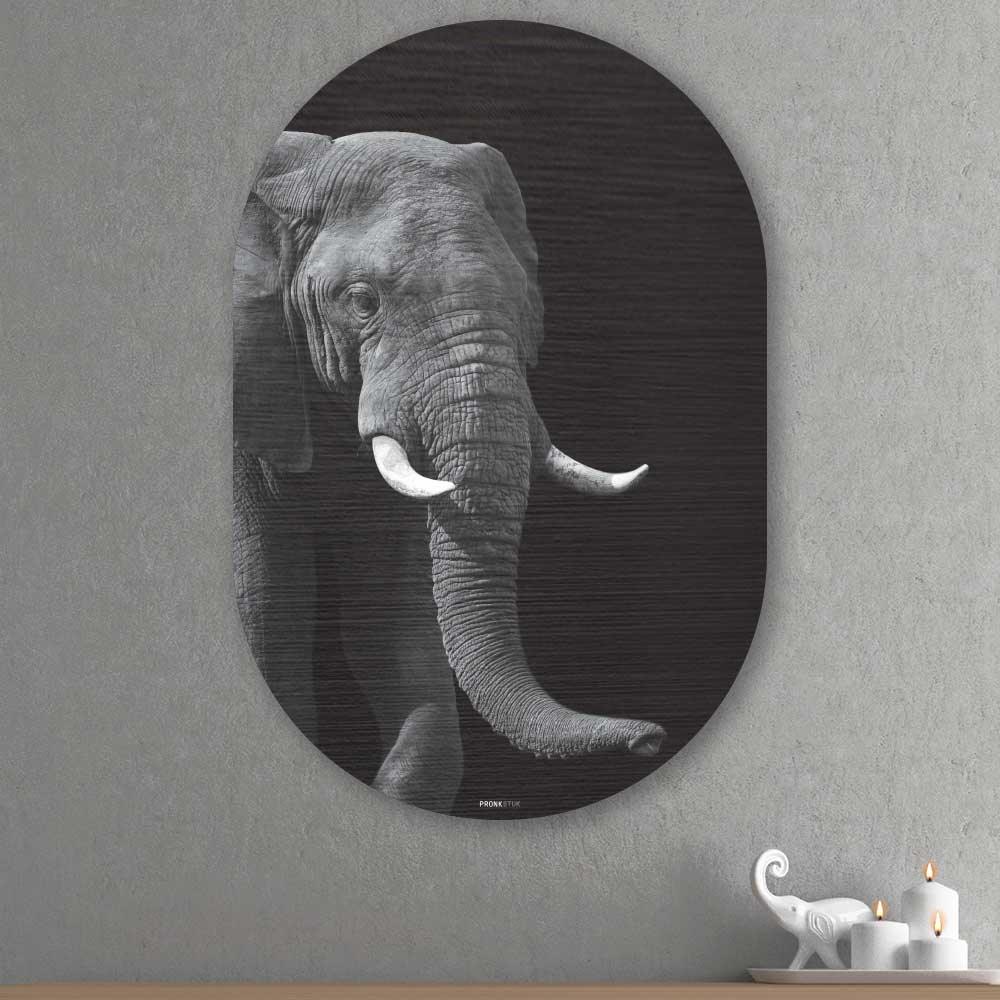 African Elephant - Schilderij Olifant Oval - Unieke olifant wanddecoratie