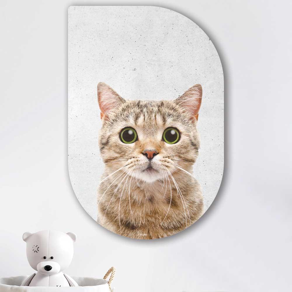 wanddecoratie kopen - Funny Cat Tippa - Unieke wanddecoratie