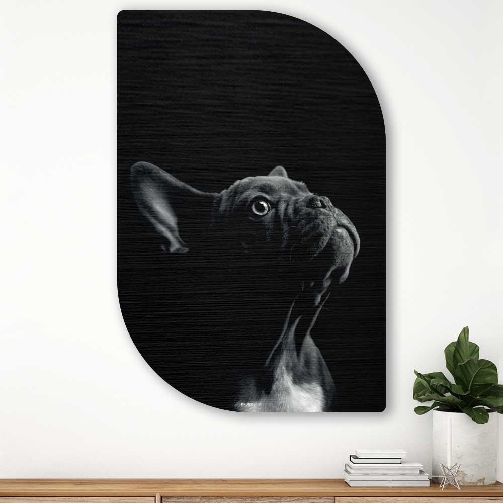 French Bulldog - Schilderij Franse Bulldog Lehti - Bulldog wanddecoratie