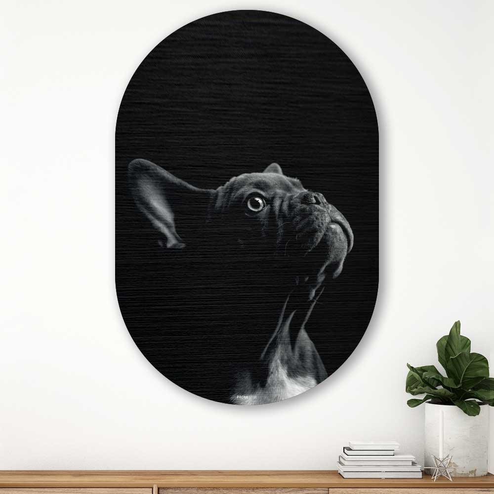 French Bulldog - Schilderij Franse Bulldog Oval - Bulldog wanddecoratie