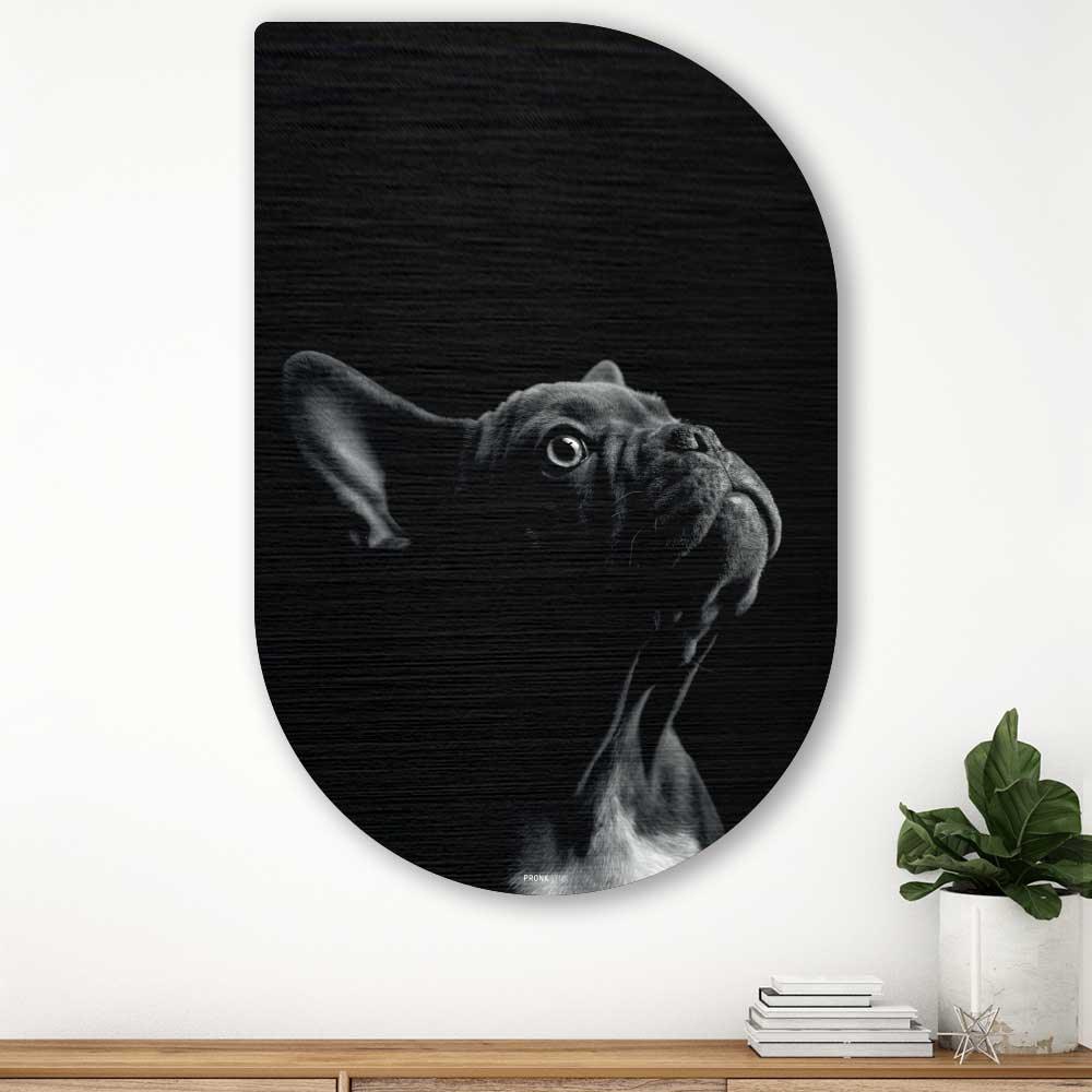 French Bulldog - Schilderij Franse Bulldog Tippa - Bulldog wanddecoratie