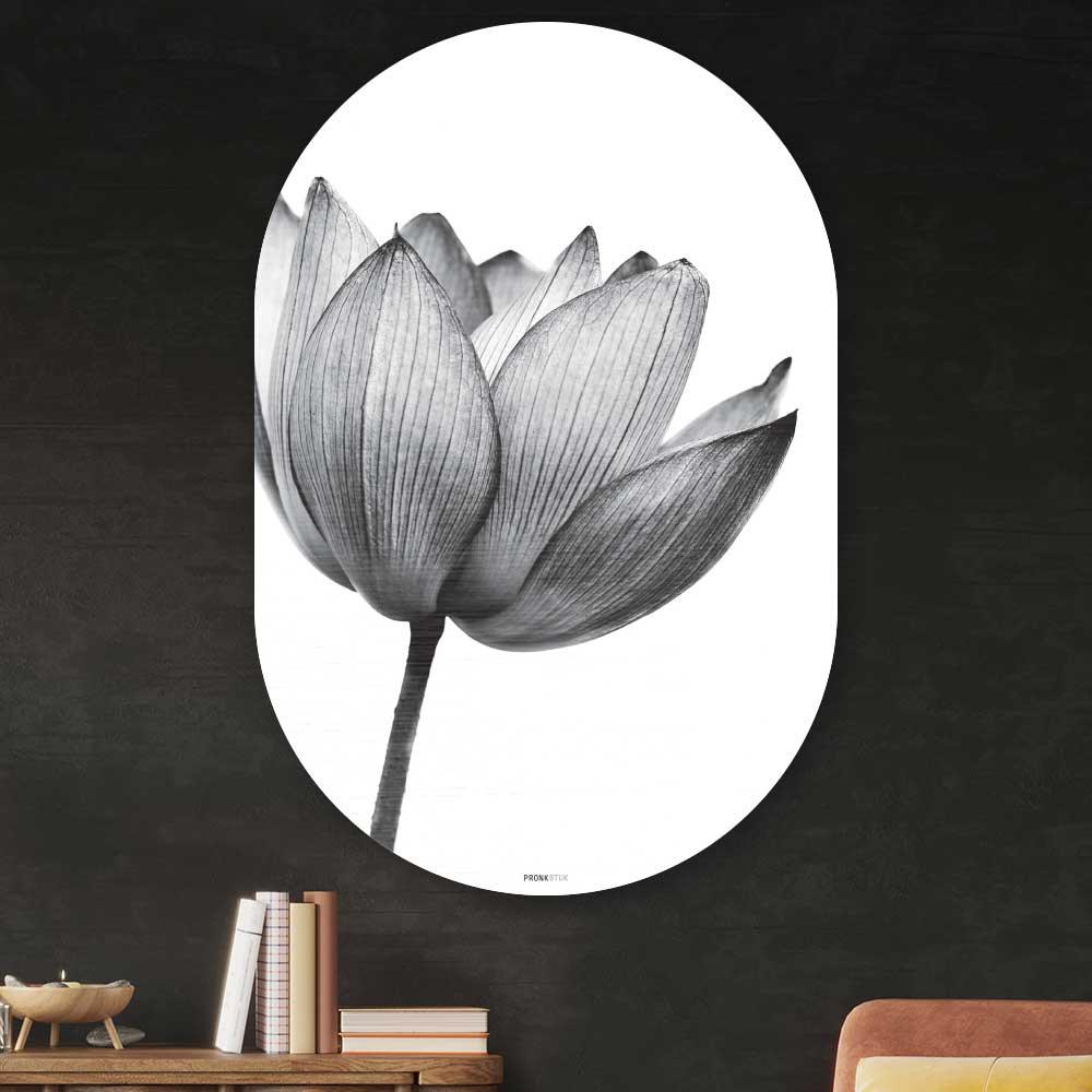 Schilderij lotus bloem zwart-wit - Lotus wanddecoratie Oval - bloemen muurdecoratie