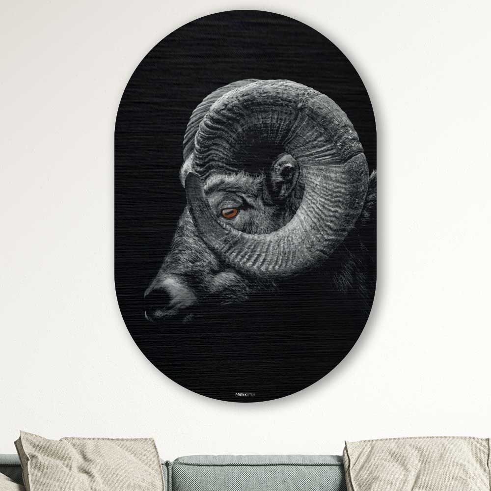 muurdecoratie-woonkamer-pronkstuk-wanddecoratie-woonkamer-boven-de-zetel