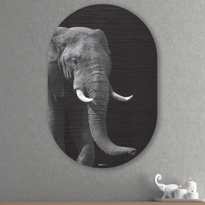 African Elephant - Schilderij Olifant Oval - Unieke olifant wanddecoratie