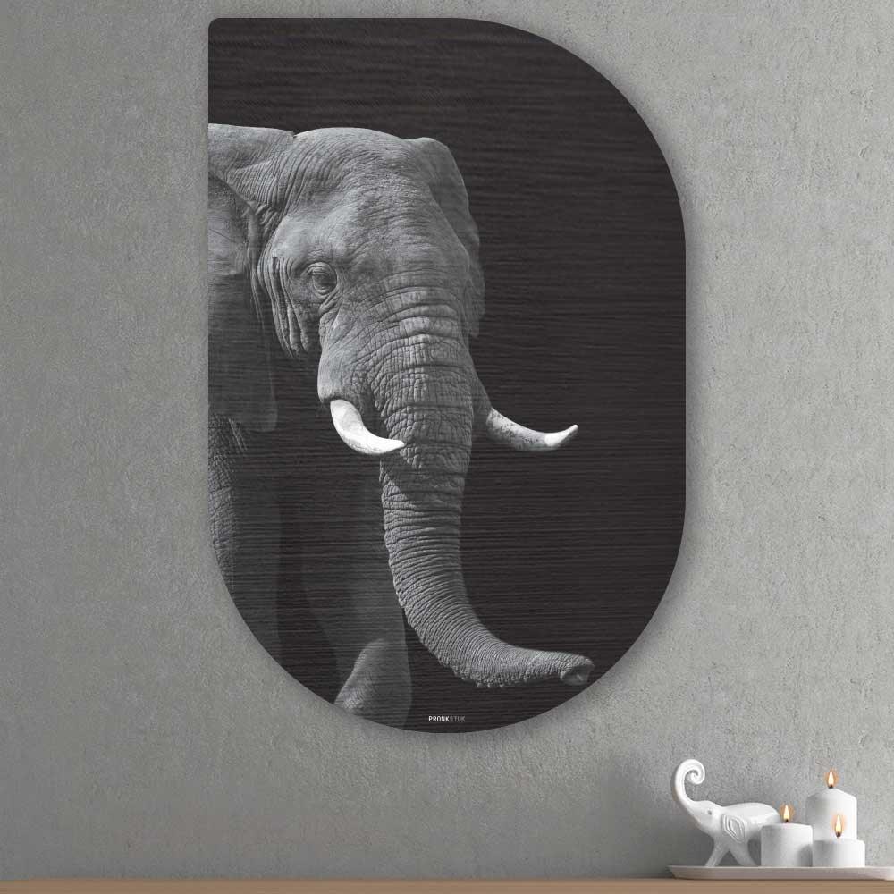 wanddecoratie kopen - African Elephant Tippa - Unieke wanddecoratie