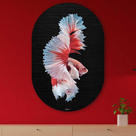 wanddecoratie kopen - Betta Fish Oval - Unieke wanddecoratie