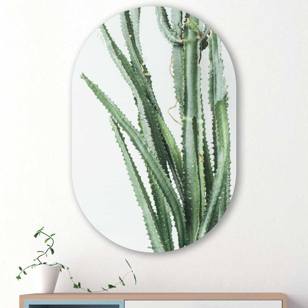 wanddecoratie kopen - Cactus Oval - Unieke wanddecoratie