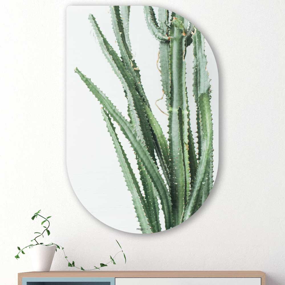 wanddecoratie kopen - Cactus Tippa - Unieke wanddecoratie