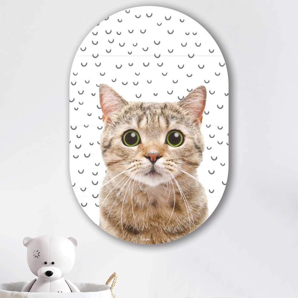 wanddecoratie kopen - Funny Cat Oval - Unieke wanddecoratie