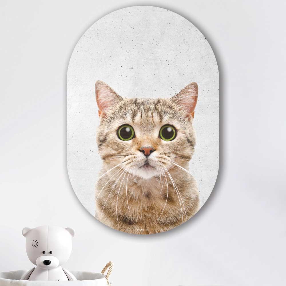 wanddecoratie kopen - Funny Cat Oval - Unieke wanddecoratie