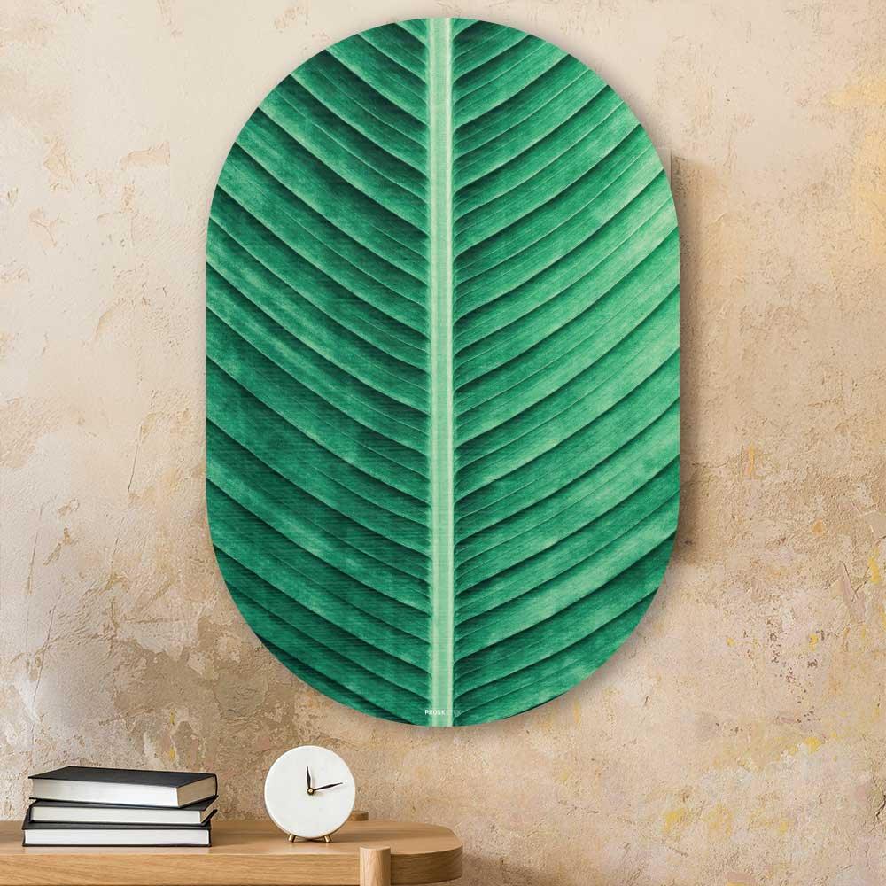 wanddecoratie kopen - Green Leave Oval - Unieke wanddecoratie