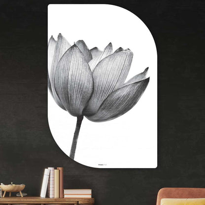 Schilderij lotus bloem zwart-wit - Lotus wanddecoratie Lehti - bloemen muurdecoratie