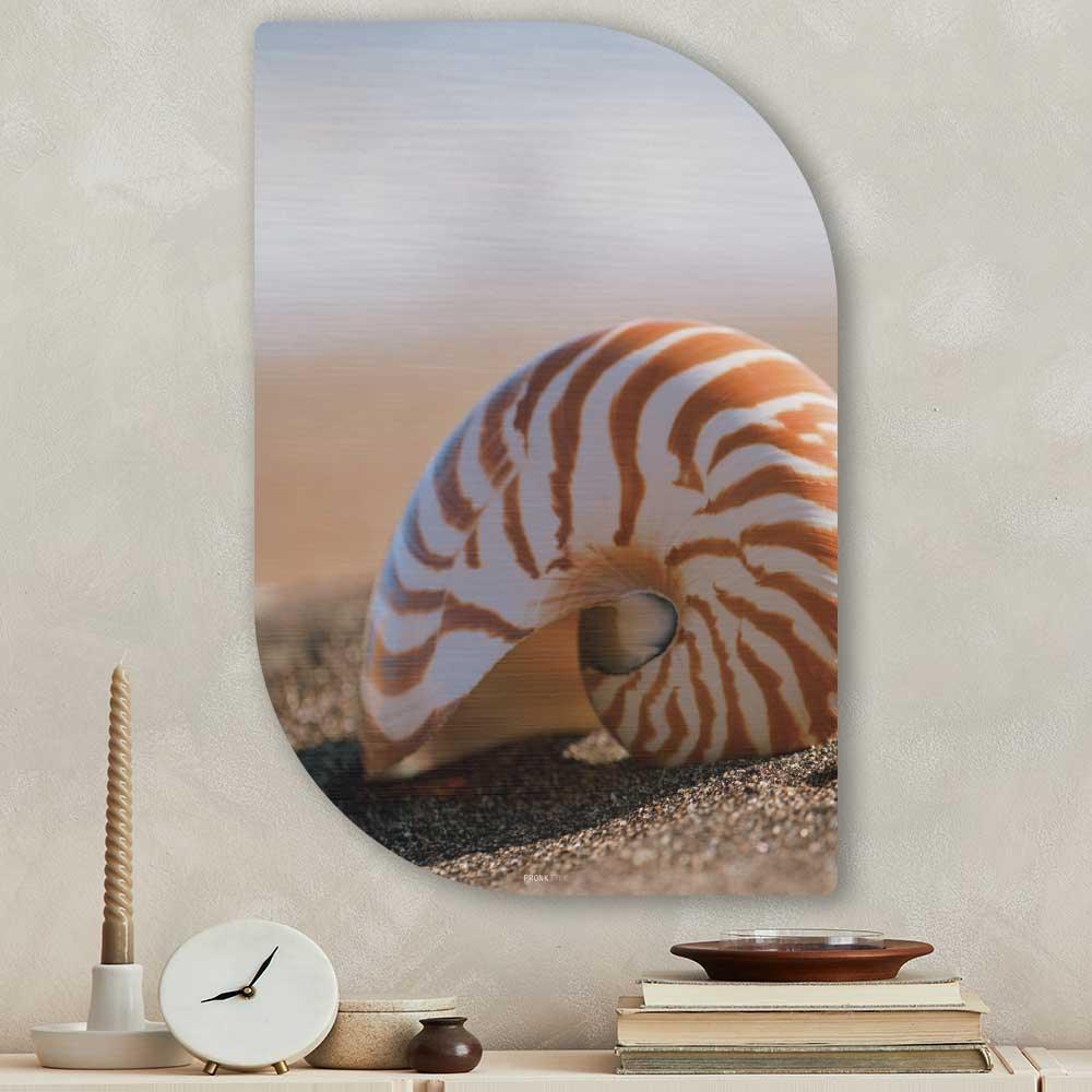 wanddecoratie kopen - Seashell Lehti - Unieke wanddecoratie