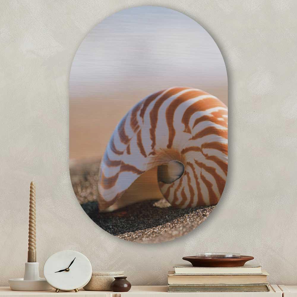 wanddecoratie kopen - Seashell Oval - Unieke wanddecoratie