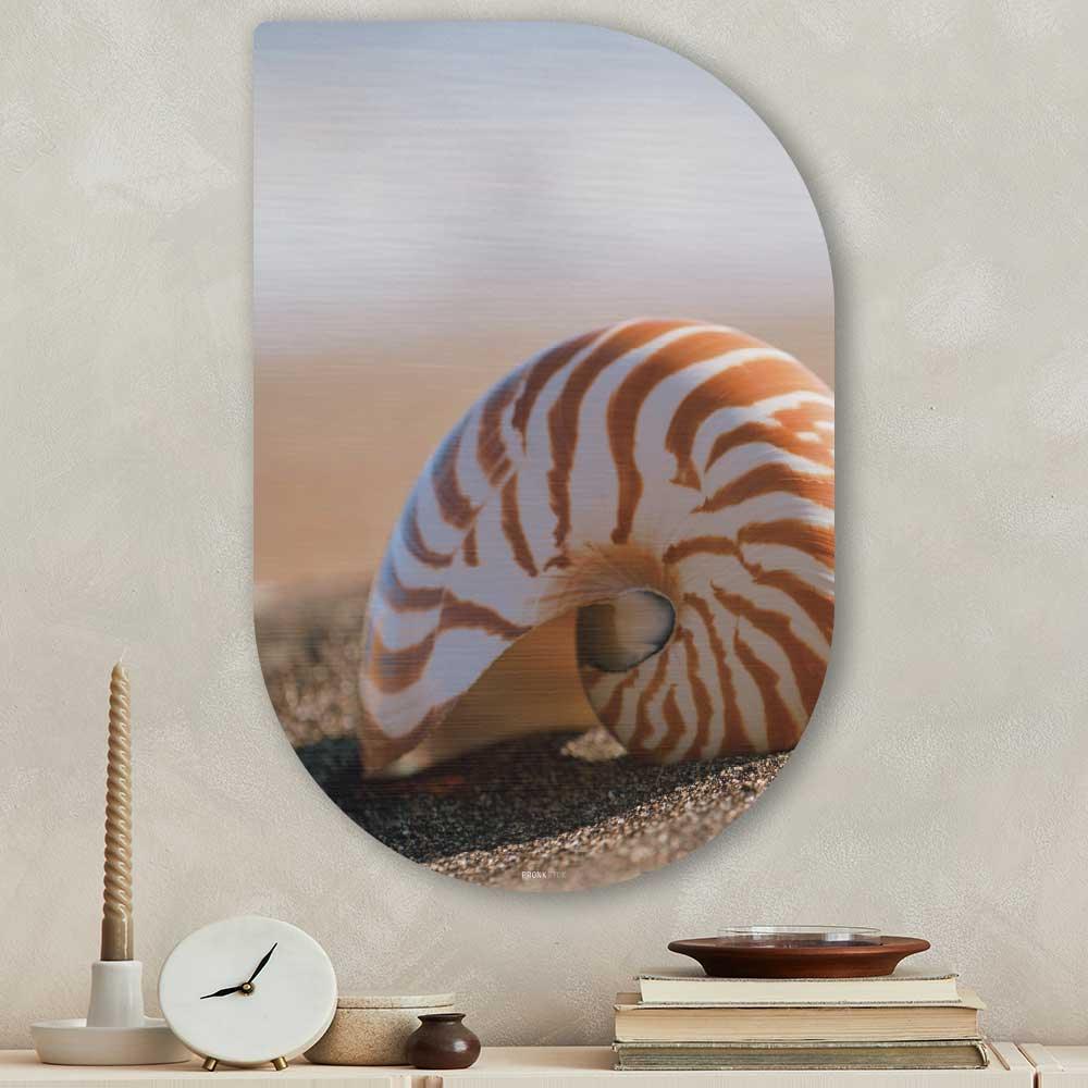 wanddecoratie kopen - Seashell Tippa - Unieke wanddecoratie